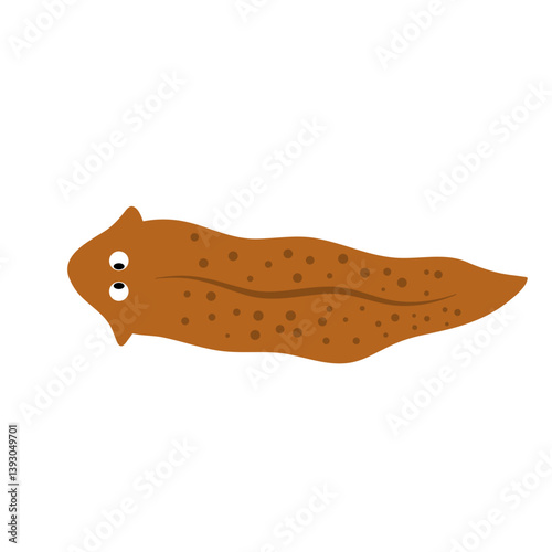 Planarian flatworms illustration