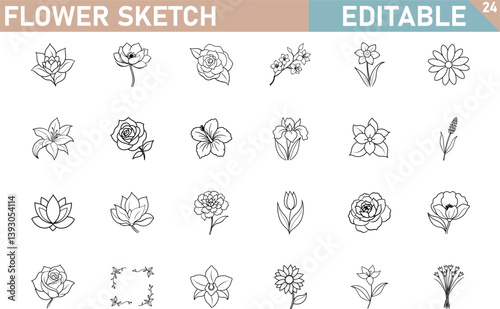 Editable Flower Sketches Line Art, Botanical Illustrations, Floral Designs