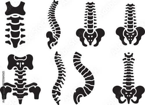 Human Spine and Pelvic Bone Icons for Medical and Healthcare Use
