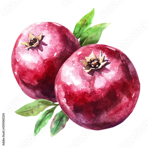 watercolor of RAsti A Beautifully Detailed, isolated on a white background.