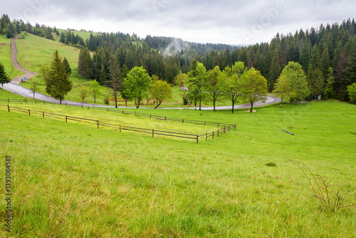 Obraz na płótnie countryside landscape in spring. wooden fence on the grassy meadow and forest on the hill. beautiful view in to the valley w salonie