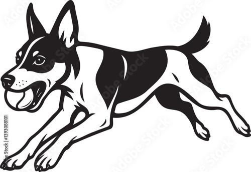jumping rat terrier dog with ball on his teeth