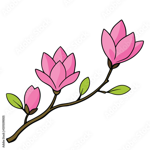 Pink spring magnolia flowers branch vector