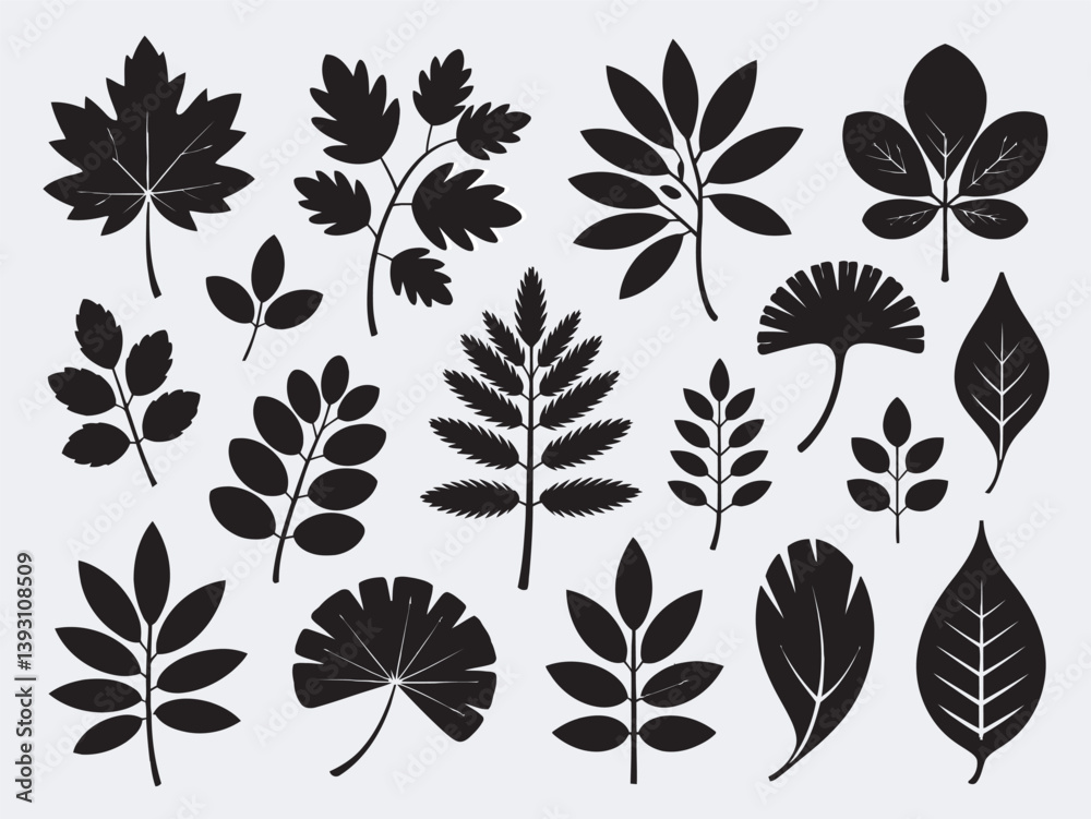 Obraz premium set of black silhouettes of leaves