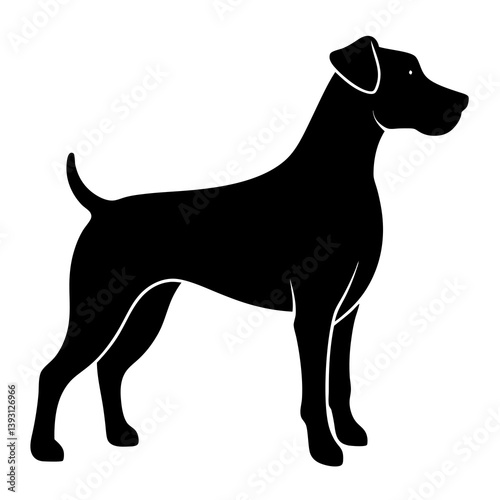 black and white dog