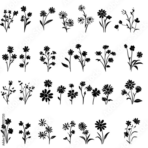 Collection of Daisies pattern vector designs, Daisies seamless pattern