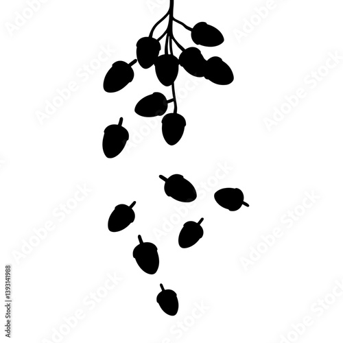 Autumn Acorns Falling Against a White Background  