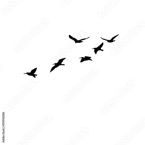 Silhouetted birds flying in formation against a white background  
