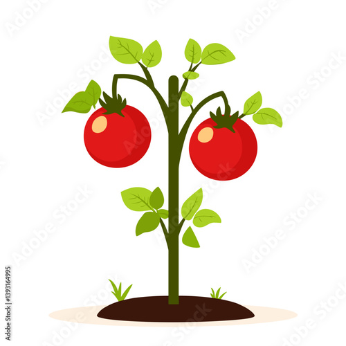 Tomato plant with red fruit in flat style with bold tones for backyard growing
