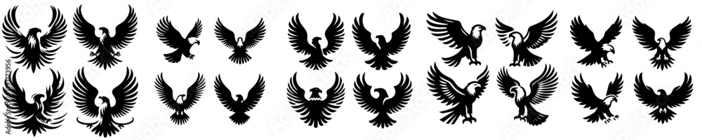 Fototapeta premium Eagle silhouette collection with white background