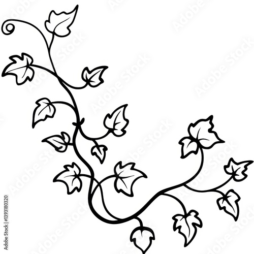 Vine and Ivy Line Art
