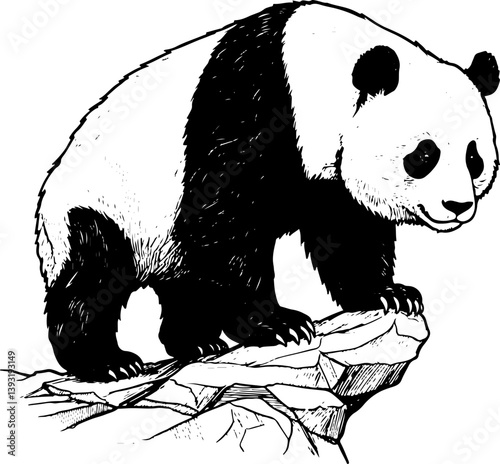 panda, bear, animal, cartoon, illustration, vector, bamboo, zoo, wildlife, cute, china, black, baby, mammal, nature, wild, white, isolated, teddy, art, asia, fun, tree, animals, funny