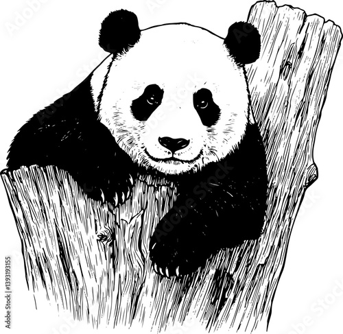 panda, bear, animal, cartoon, illustration, vector, bamboo, zoo, wildlife, cute, china, black, baby, mammal, nature, wild, white, isolated, teddy, art, asia, fun, tree, animals, funny