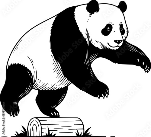 panda, bear, animal, cartoon, illustration, vector, bamboo, zoo, wildlife, cute, china, black, baby, mammal, nature, wild, white, isolated, teddy, art, asia, fun, tree, animals, funny