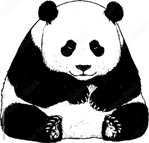panda, bear, animal, cartoon, illustration, vector, bamboo, zoo, wildlife, cute, china, black, baby, mammal, nature, wild, white, isolated, teddy, art, asia, fun, tree, animals, funny