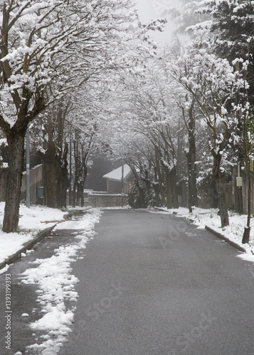 Snowy street on a winter day in Europe