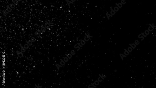 Dust Particles Floating On Black Background	
