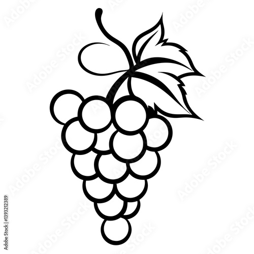 Grapes illustration with leaves in black and white  