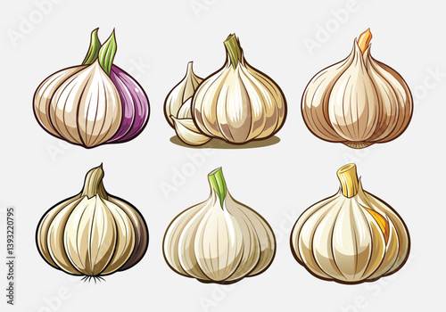 set of garlic vector art illustration