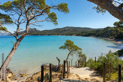 La forêt et les plages de l'Île de Porquerolles en France