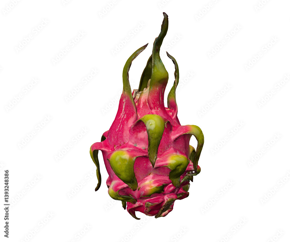 Fototapeta premium Dragon Fruit