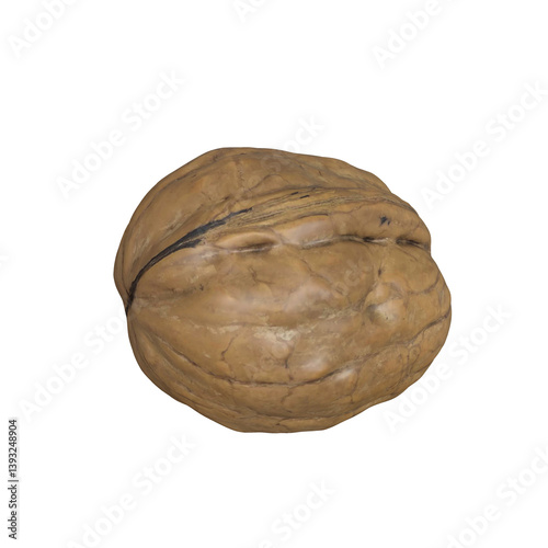 Walnut