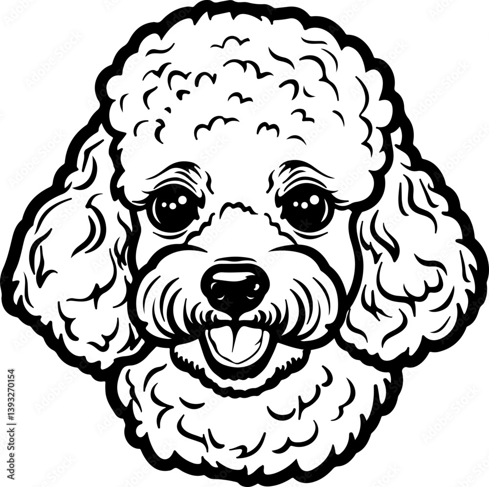 Fototapeta premium poodle, dog, spaniel, cocker, animal, pet, puppy, isolated, cocker spaniel, cute, white, canine, breed, purebred, mammal, brown, sitting, pedigree, studio, domestic, portrait, pets, black, looking, is