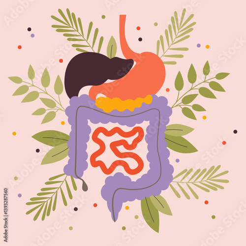 Human Digestive System. Stomach, liver, spleen, gallbladder, small intestine and large intestine.Human body inside