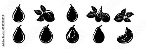 Collection of Avocados vector icons, Avocados vector graphics