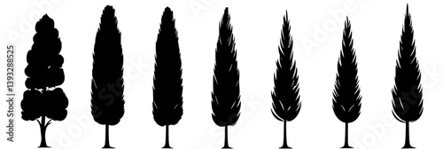 Collection of Cypresses vector icons, Cypresses vector illustrations