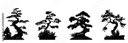 Collection of Junipers vector icons, Junipers vector graphics