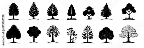 Collection of Redwoods vector icons, Redwoods vector illustrations