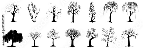 Collection of Willows vector icons, Willows illustration art