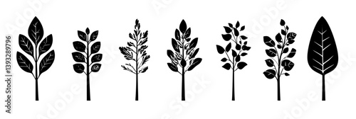 Collection of Aspens vector icons, Aspens vector graphics
