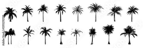 Collection of Royal Palms vector icons, Royal Palms vector illustrations