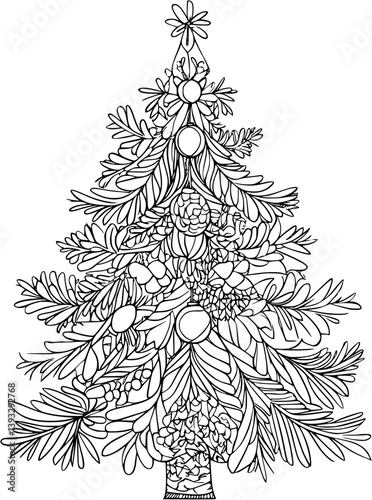 Spruce coloring book vector design, Spruce illustration art