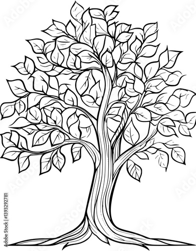 Sycamore coloring book vector design, Sycamore vector graphic