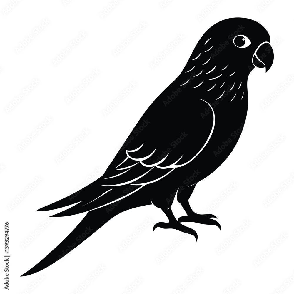 Fototapeta premium parakeet silhouette vector white background.