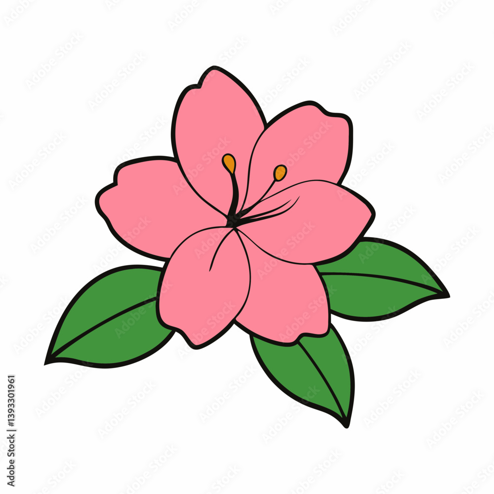 Obraz premium Azalea on White Background