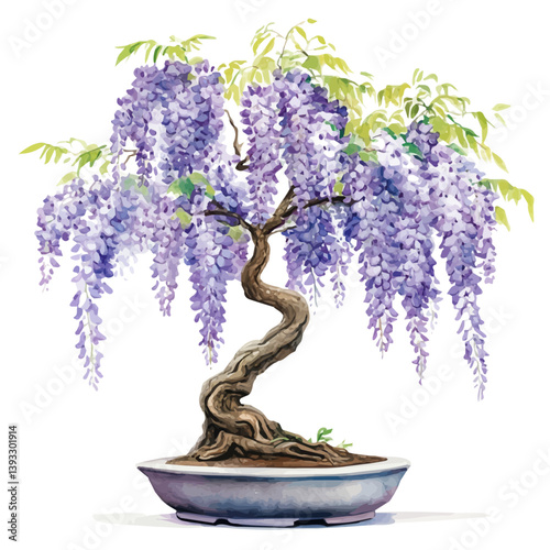 A watercolor vector illustration of a wisteria bonsai, isolated on a white background.

