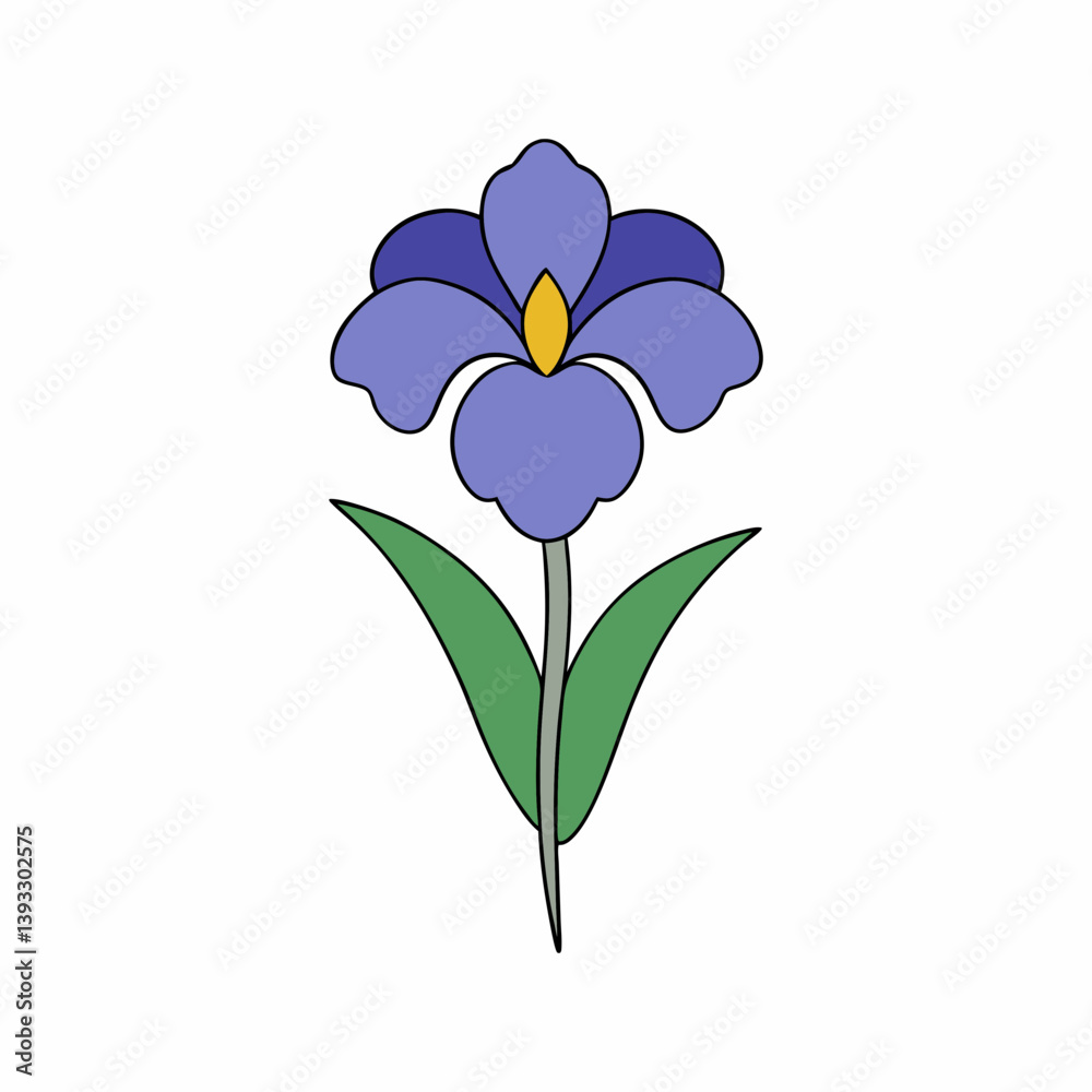 Obraz premium Iris on White Background