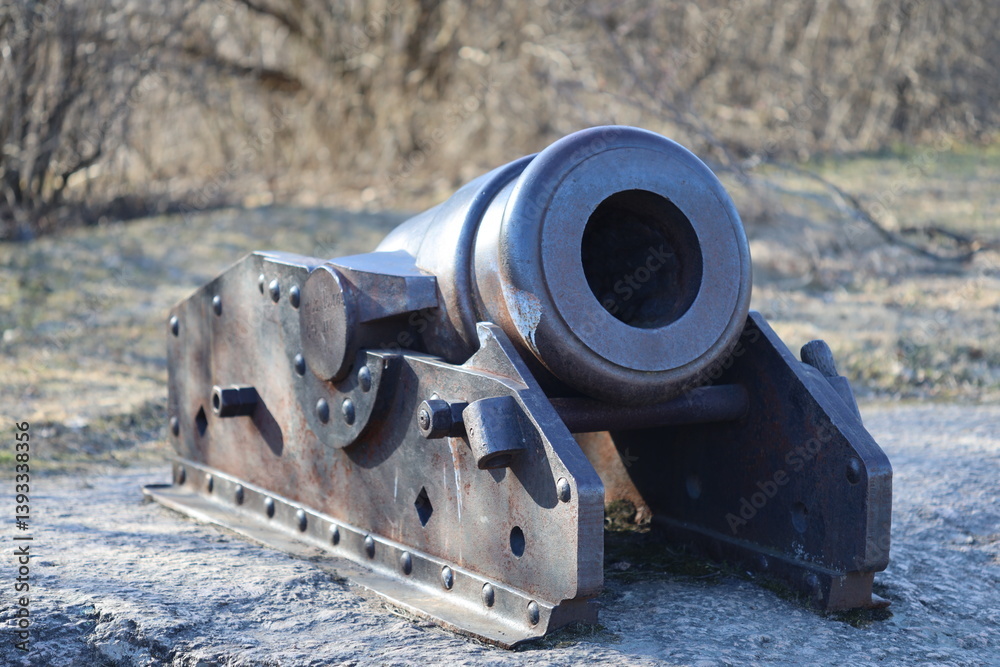 A cannon sitting on top of a rock, suitable for use in historical or military-themed images.
