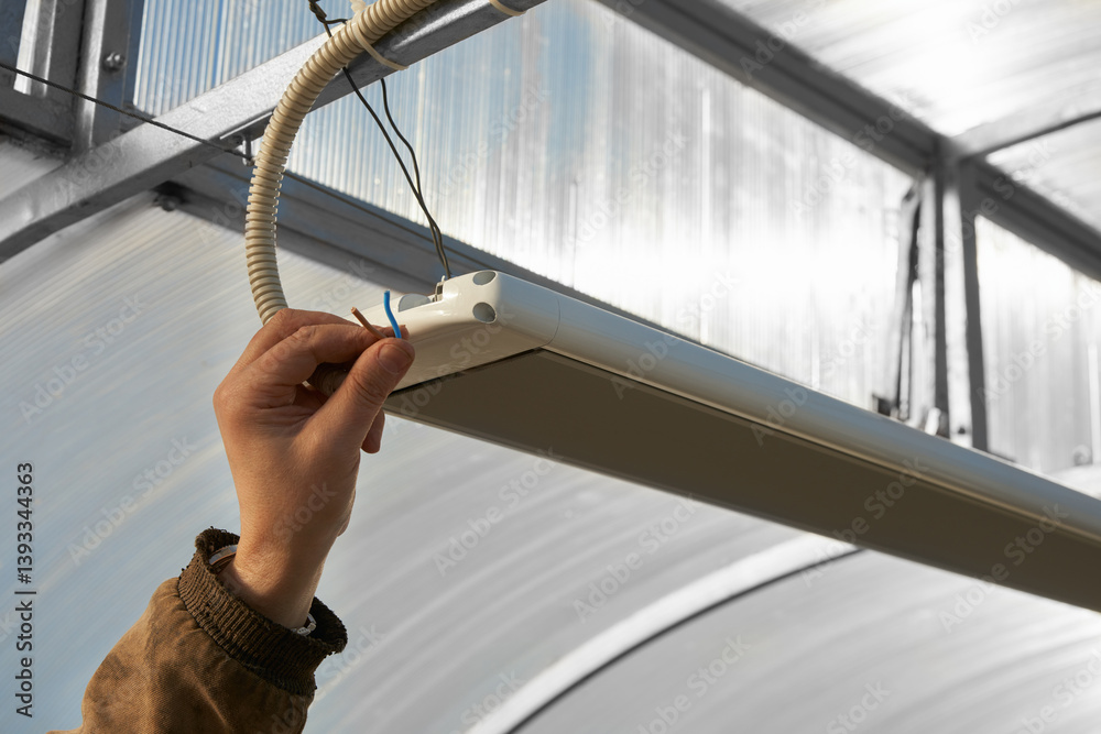 Electrical wiring in a polycarbonate greenhouse to the infrared heater. A man's hand with a wire at the lamp.