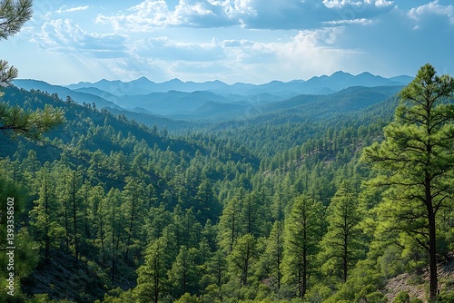 Lush Green Forest Landscape with Rolling Hills and Blue Sky Panoramic View Nature Photography : Generative AI