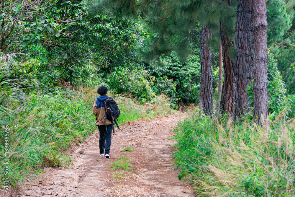 Fototapeta premium A Solo Traveler Exploring a Lush Trail in Cauca, Colombia's Beautiful Nature