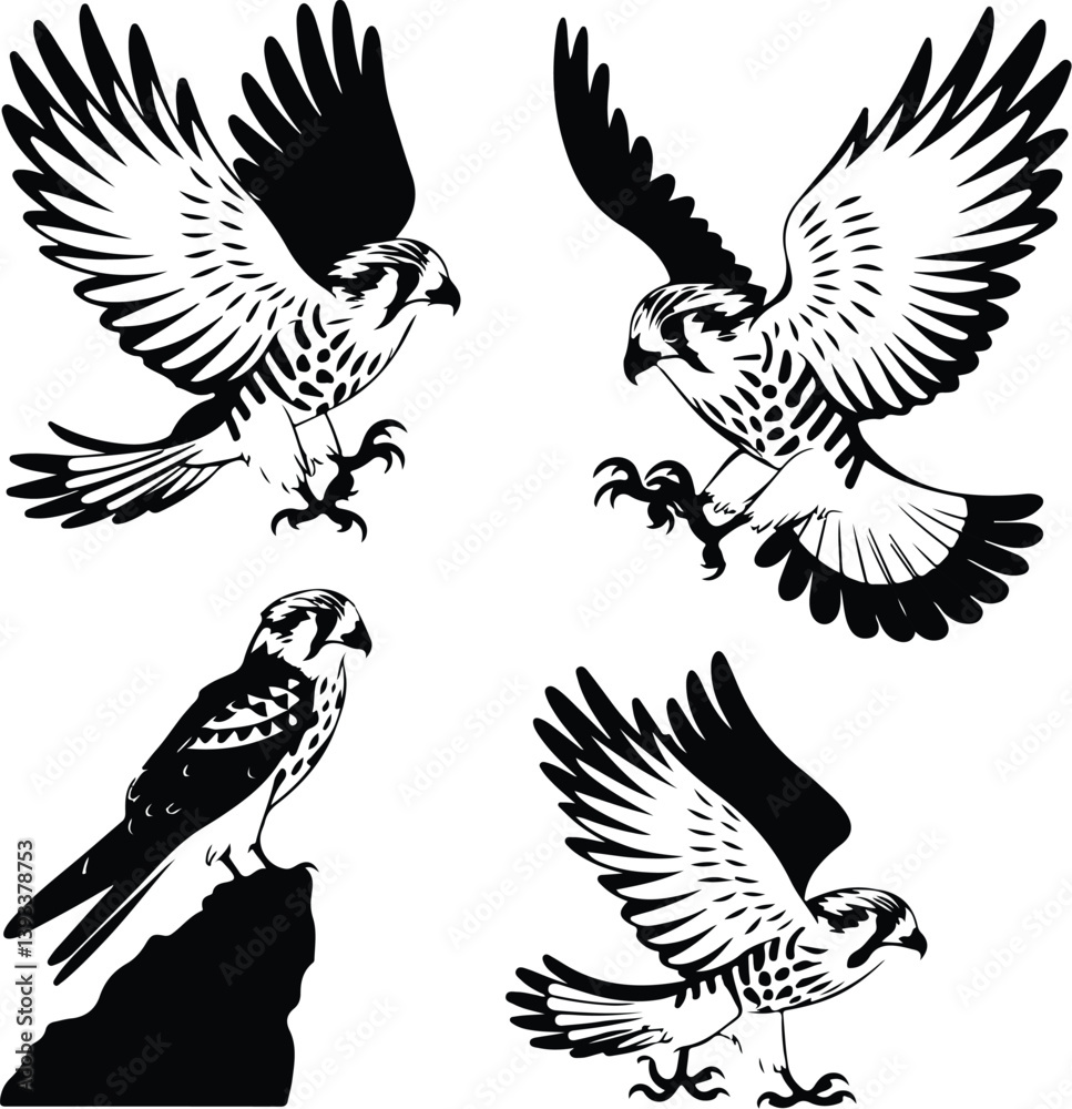 Fototapeta premium Kestrel Silhouette Set for Bird of Prey and Wildlife Designs Flying Kestrel Falcon Silhouettes for Nature and Hunting Projects