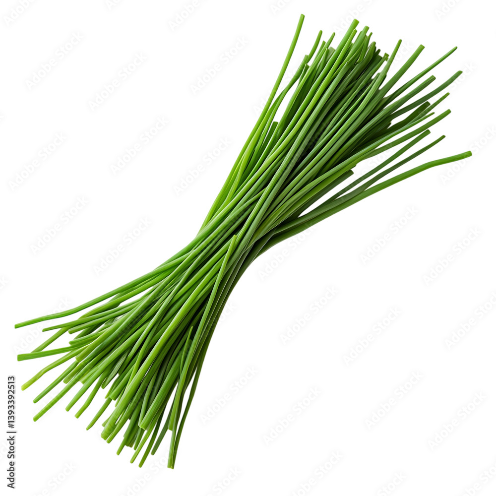 Fresh Chives Bunch with Green Stems Isolated on Transparent Background Fresh Chives Bunch with Green Stems Isolated on Transparent Background