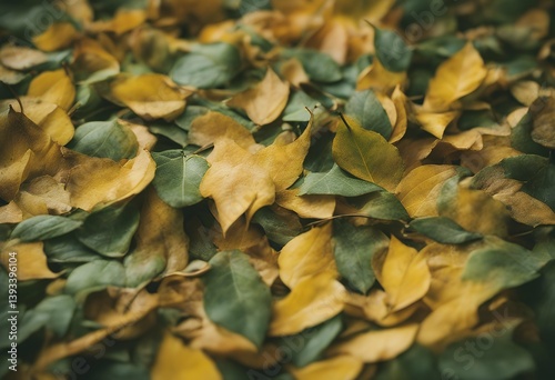 turning yellow concept minimal pile fall leaves green nature autumn texture pattern trendy september romantic juxtaposition season foliage dry decorative natural card november leaf decoration border