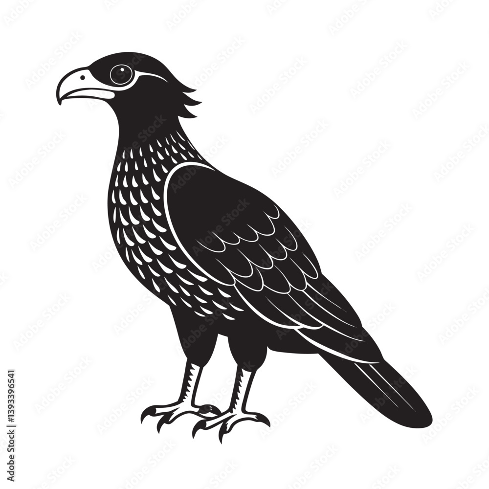 Fototapeta premium Red Throated Caracara Bird Illustration