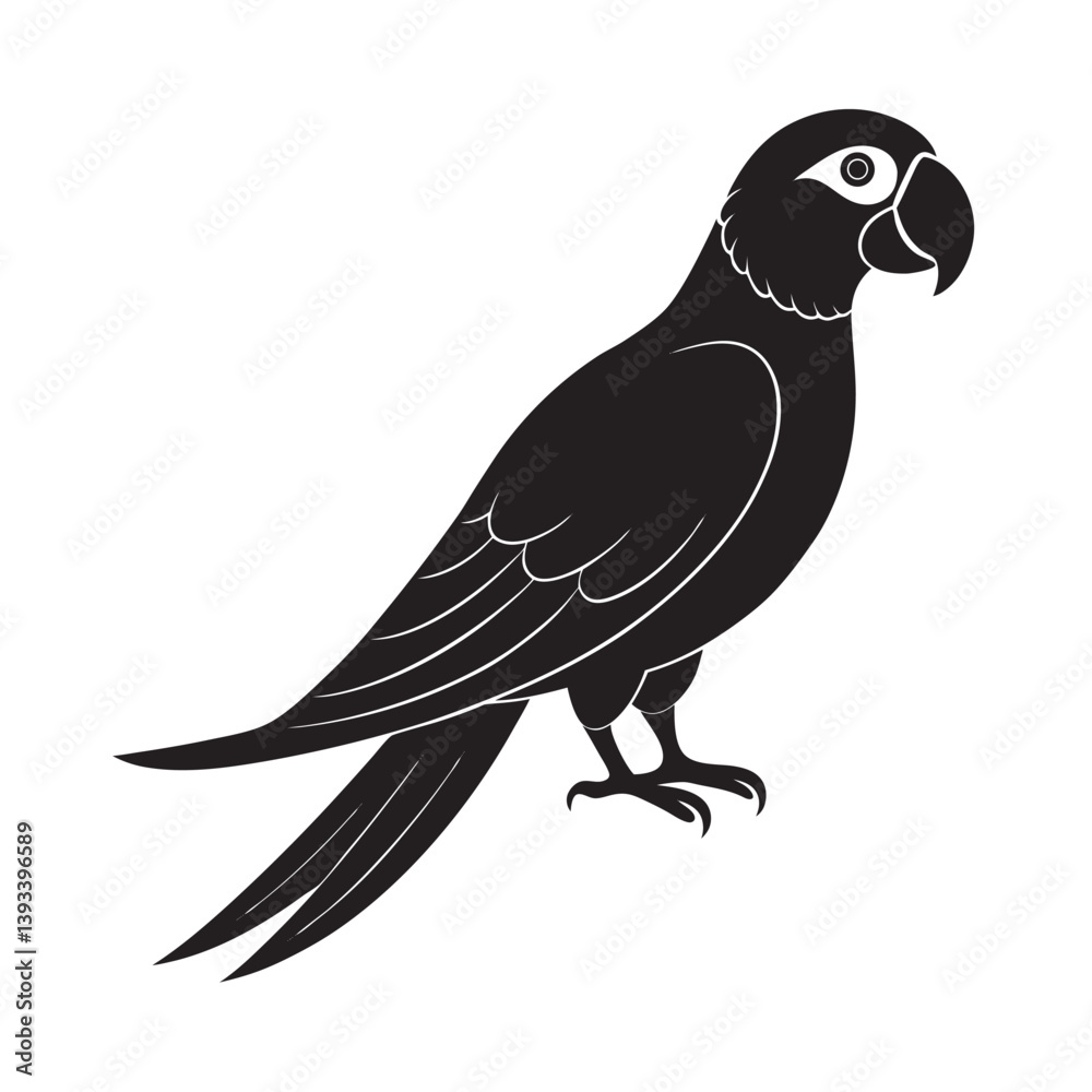 Fototapeta premium Hyacinth Macaw Bird Illustration